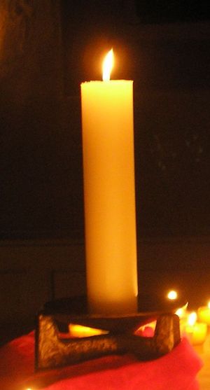 Körperspender